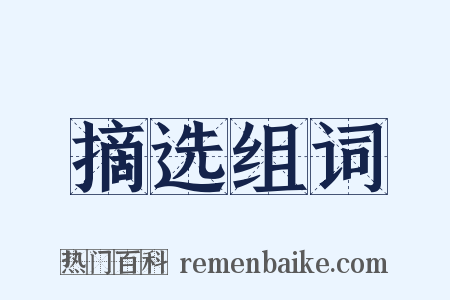 摘选组词是什么意思的图片